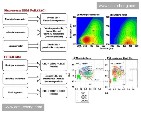 控场视野引领决策精准分析在复杂环境中的应用与战略意义